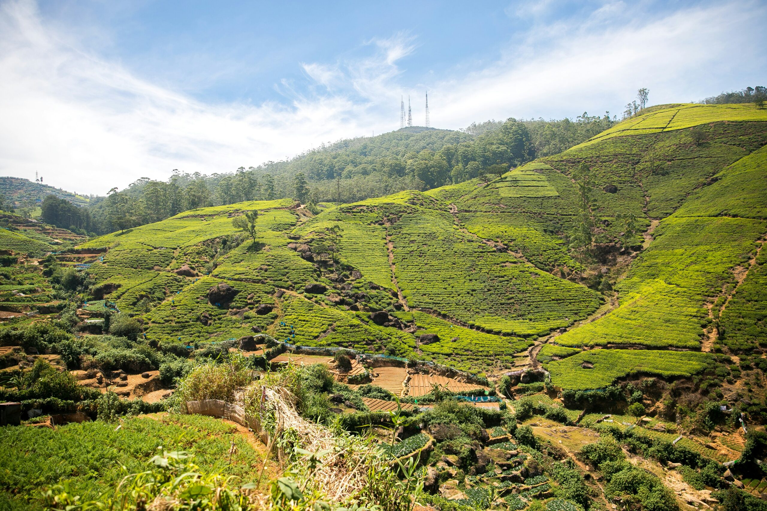 Nuwara Eliya Sri Lanka