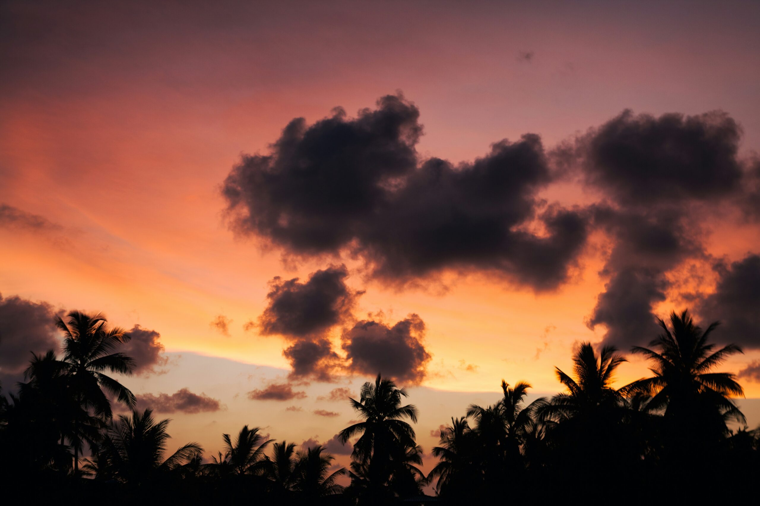 Discover Sri Lanka with Tour Lanka Holiday